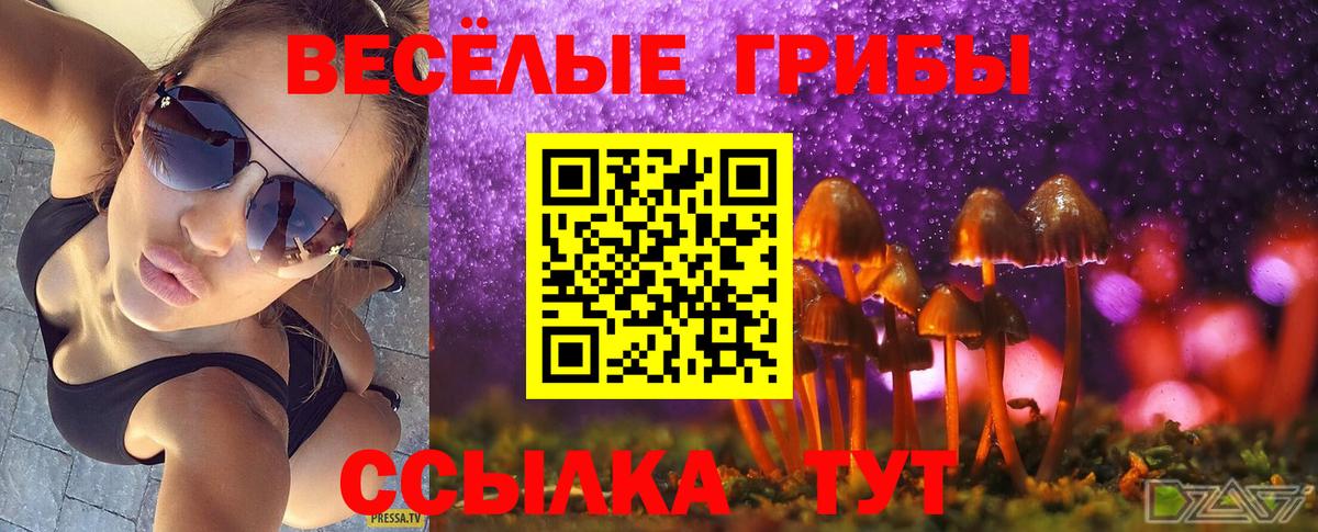 Галлюциногенные грибы GOLDEN TEACHER Красноярск