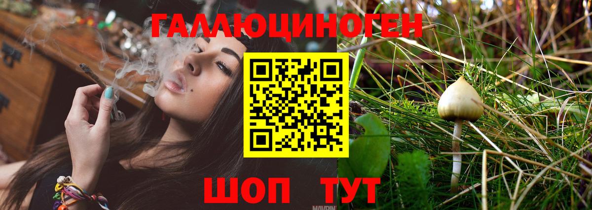 Красноярск  Псилоцибиновые грибы ЛСД  Вход с VPN  Псилоцибиновые грибы мухоморы 
